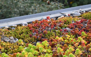 the cost of Pontsticill green roof installation