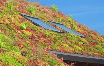 Pontsticill living roof systems